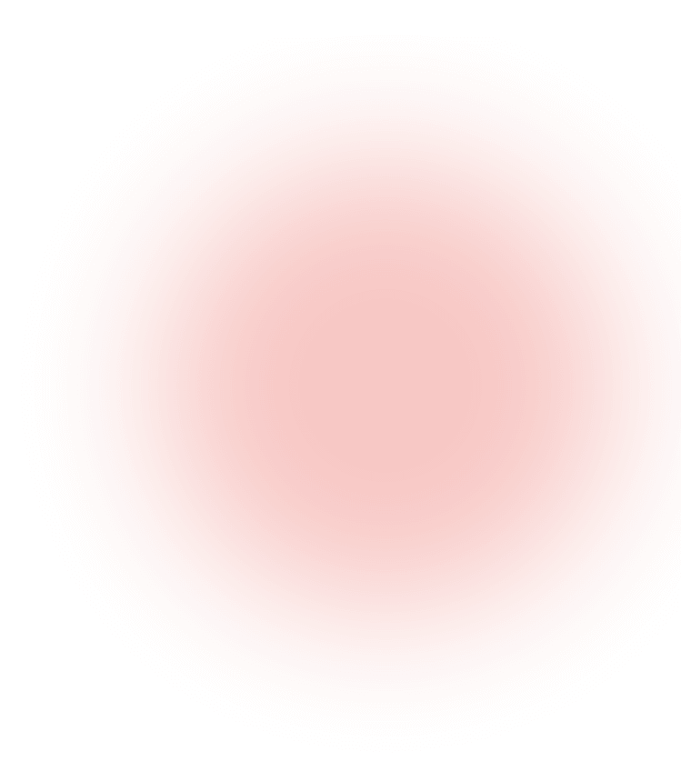 ICVS E-SOLUTIONS PRIVATE LIMITED