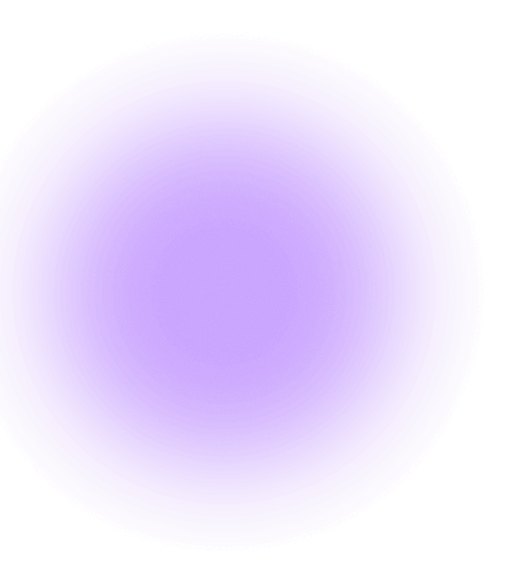 ICVS E-SOLUTIONS PRIVATE LIMITED